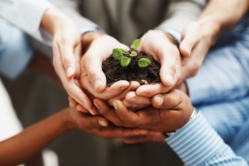 photodune-202925-business-development-hands-holding-seedling-in-a-group-s